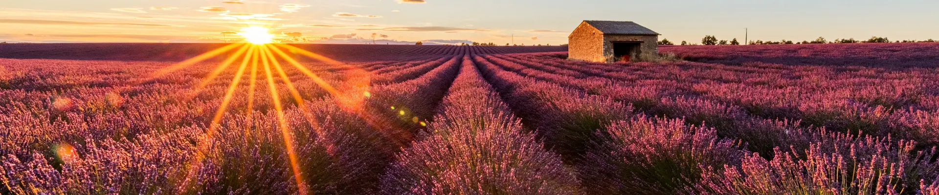 provenza adventure weekend tra lavanda gole del verdon e avignone 6