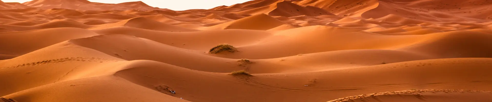 AFRICA E MEDIO ORIENTE
