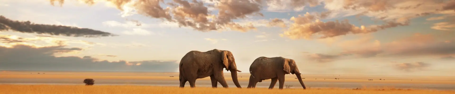 immagine viaggio di gruppo in kenya