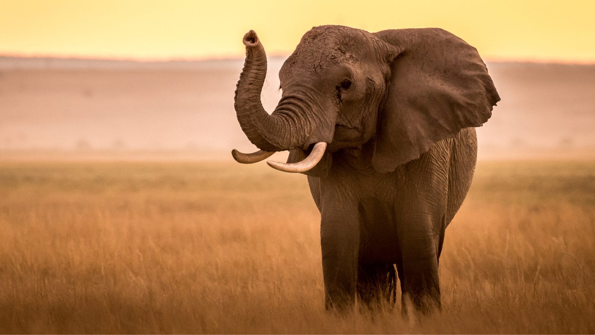 immagine viaggio di gruppo in kenya