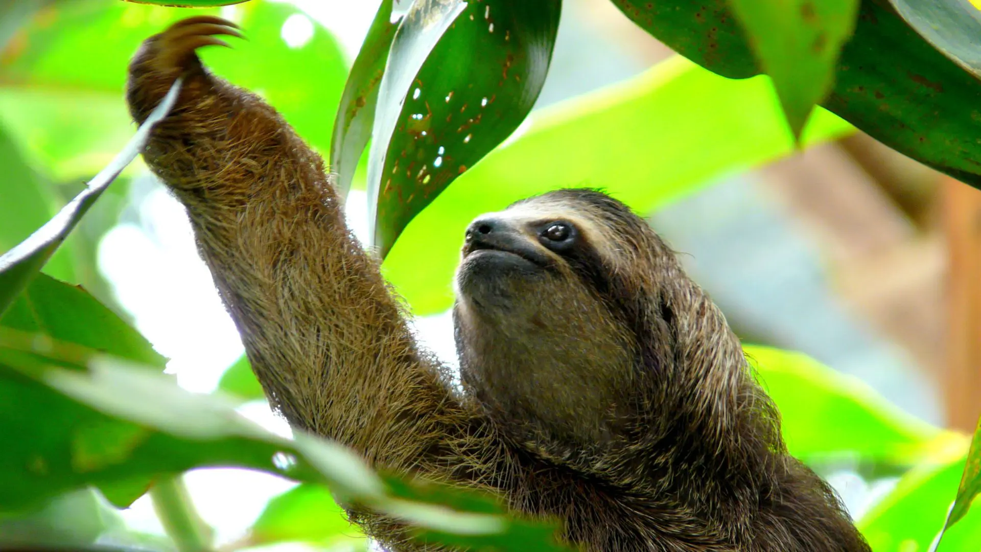 immagine costa rica viaggio di gruppo