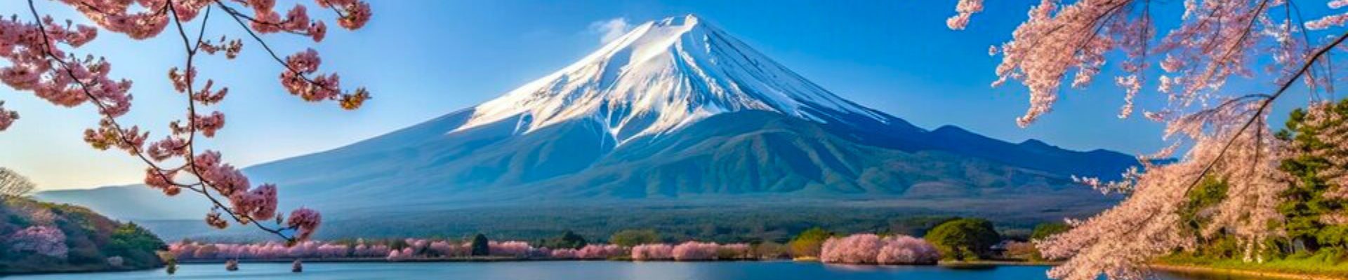 giappone la magia di sakura