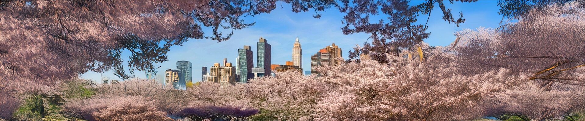 new york la grande mela in fiore 1