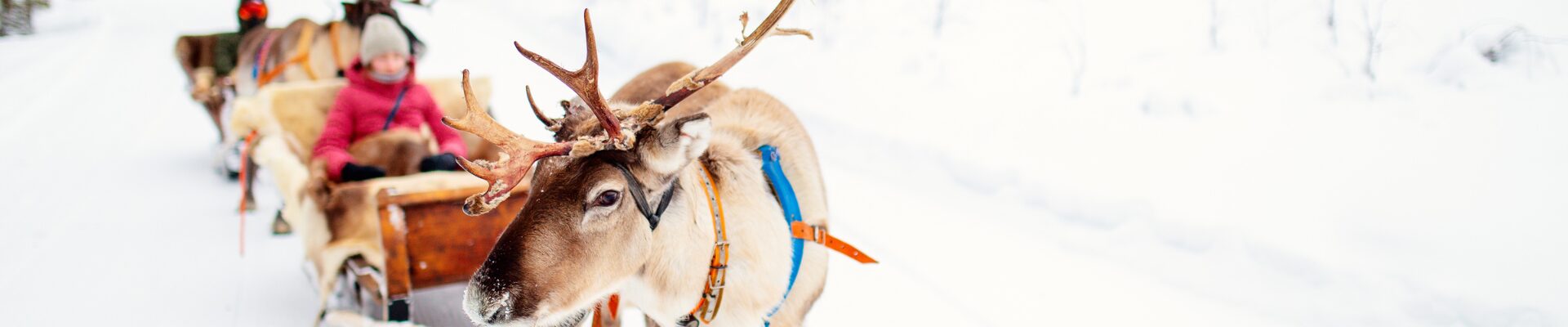 lapponia finlandese nel regno di santa claus 1