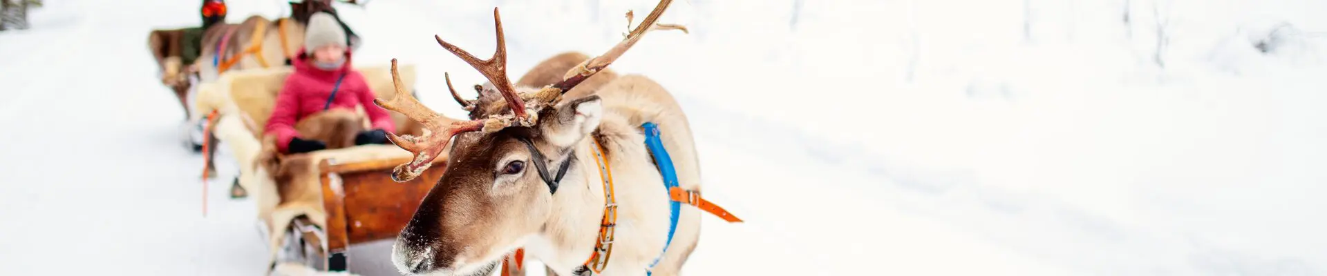 lapponia finlandese nel regno di santa claus 1