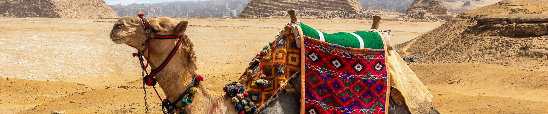 egitto – week end avventuroso a il cairo