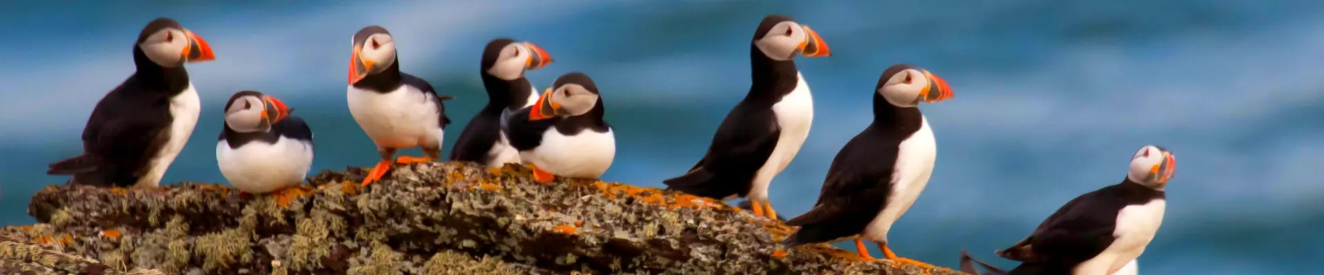 islanda isola a 360 giro completo