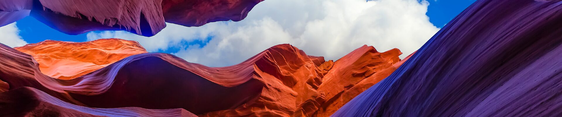 usa west coast e grandi parchi on the road