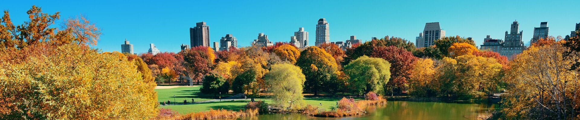 immagine viaggio di gruppo a new york