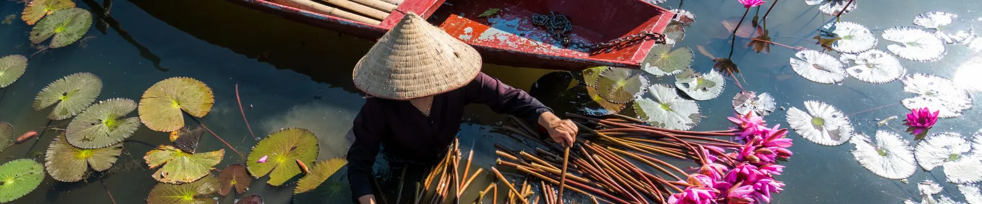 vietnam dal delta del mekong alla baia di ha long 4