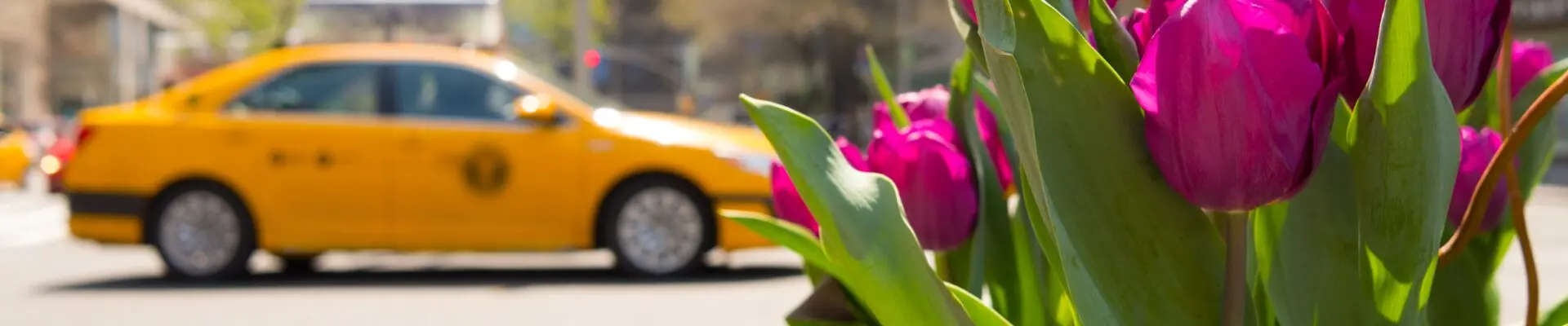 new york la grande mela in fiore