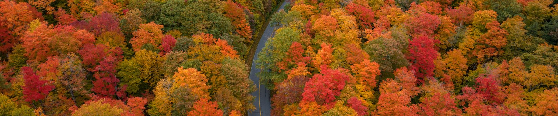 canada est emozione d autunno tra cascate del niagara e citta iconiche